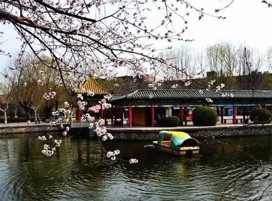 藁城为何突然发展起来了,藁城以后的发展