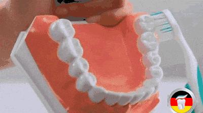 蛀牙的修补和牙齿矫正的问题,爱牙日公益讲座视频