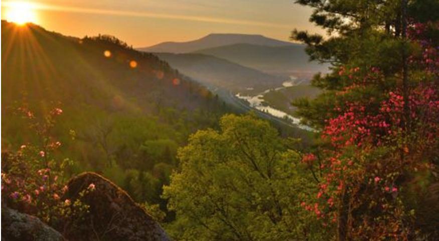 君君的创业,君君的成长记录