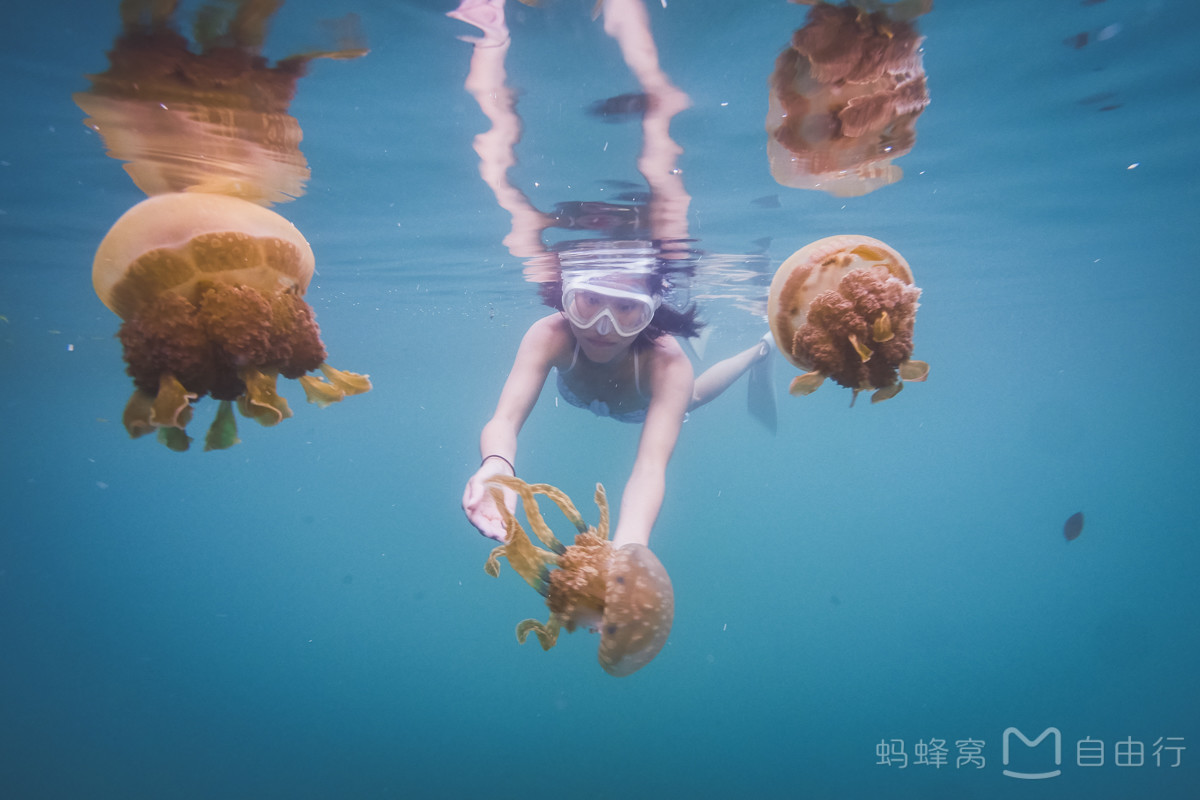 帕劳出海自由行,帕劳坐船旅游攻略