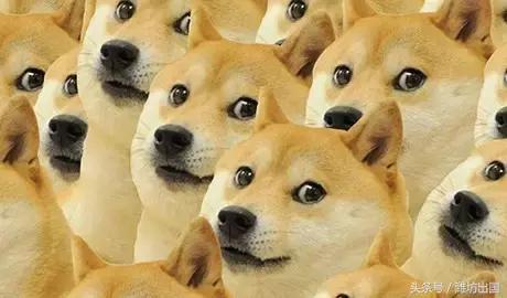 纳尼日本,纳尼日语日漫