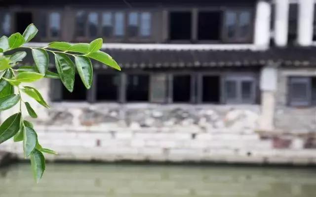 杨桥畔古镇,杨桥古镇