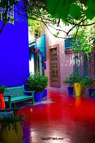 时装大师圣罗兰的秘密花园到底什么样?