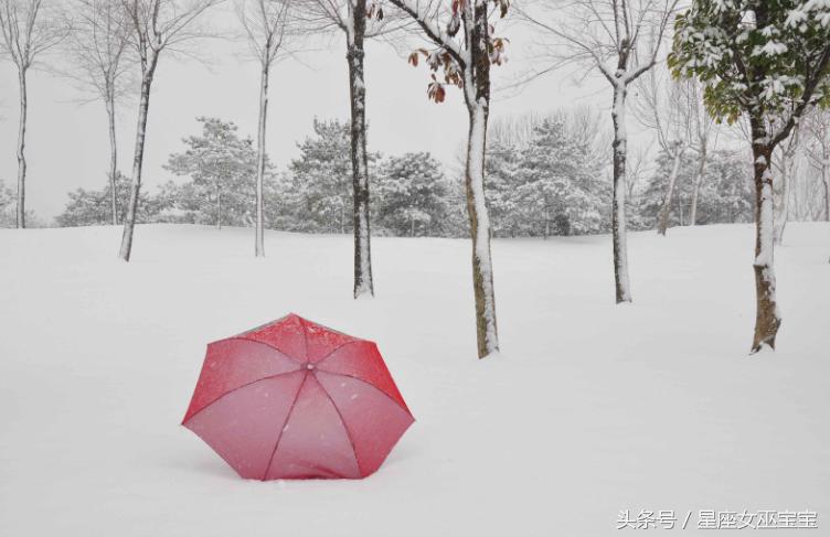 星座运势小知识补习不了解星座的初学者必备