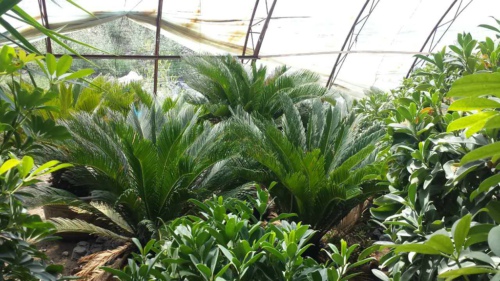 小本创业最赚钱的20个项目有哪些,适合新手的10个免费创业项目利润