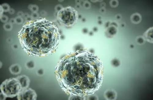 发根长小痘痘是什么原因,发根老是长痘怎么回事