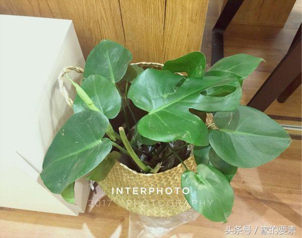 两房70平方变三房小户型,70平米小户型两室改三室