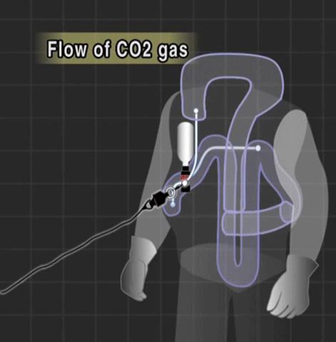 夫妻逛街买买买,夫妻日常买买买