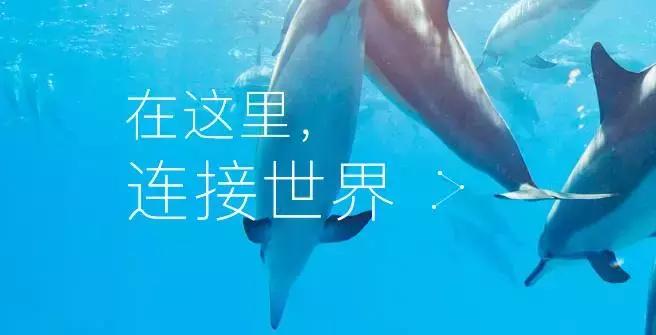 企鹅号通过试运营还是没有推荐量,企鹅号流量主