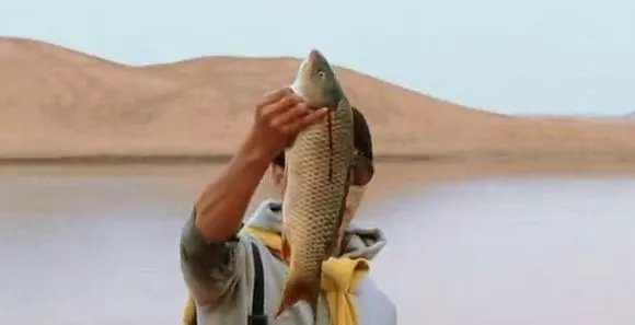 爸爸去哪儿你不知道的事,爸爸去哪儿真心话问答