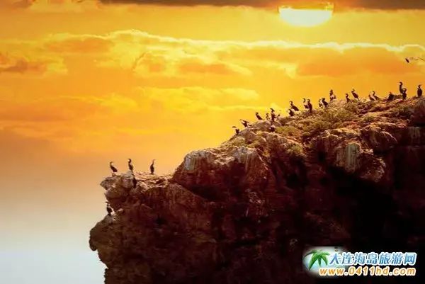 国庆大连去哪个海岛,国庆八天假去哪玩江西