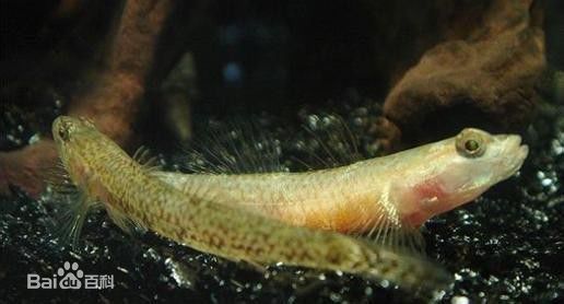 安徽泾县简介,安徽泾县有哪些地方