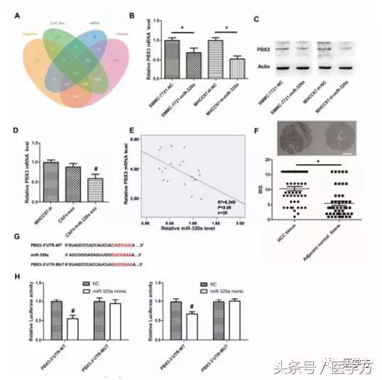 国自然标书参考文献格式,国自然标书引用参考文献的格式