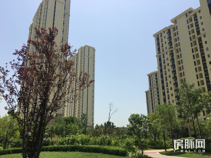 百亩绿化三亩湖五重景观成一家-富力白鹭湾园林实景