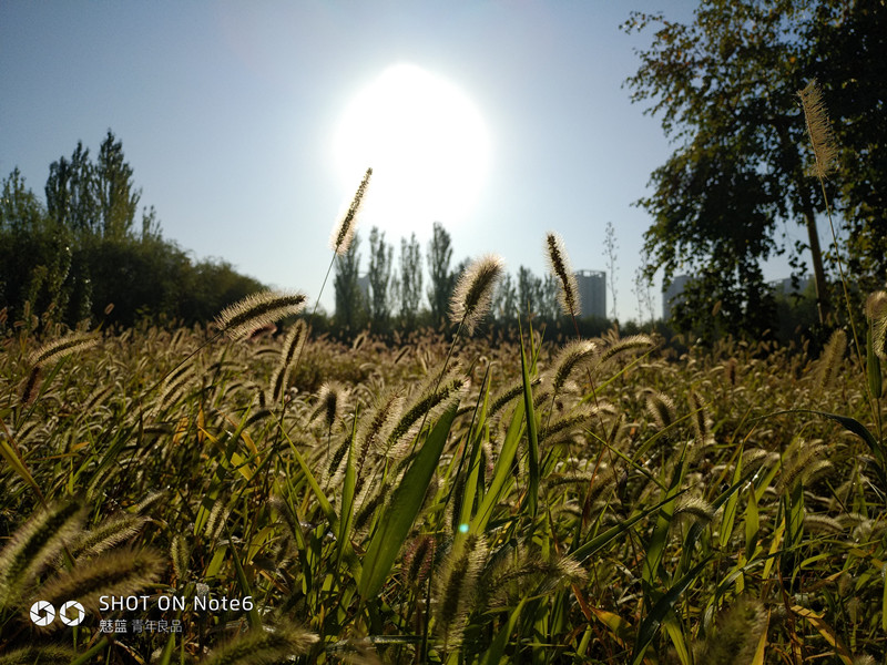 魅蓝note6多受欢迎,魅蓝note6最新使用测评