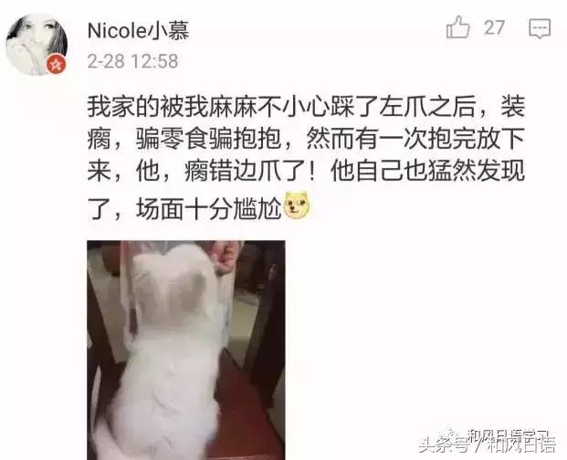 不小心踩死自己的宠物痛哭流涕,不小心把宠物压死了