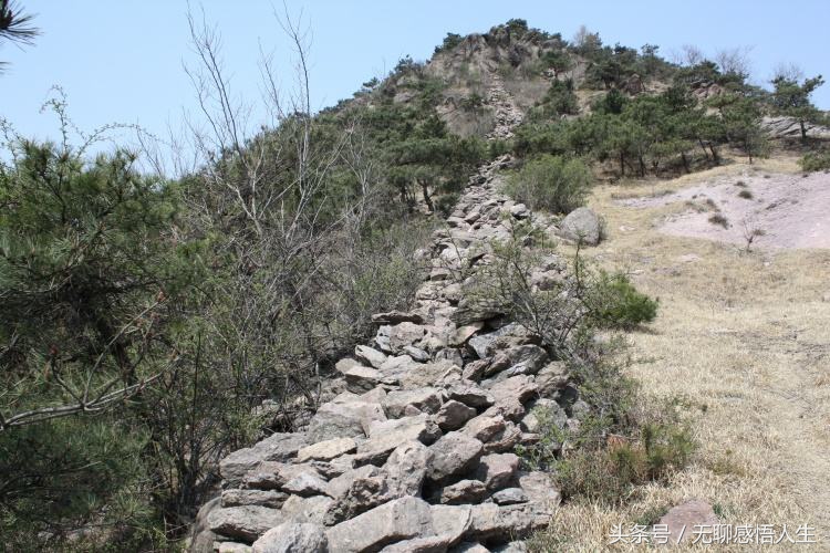 诸城中国百强城市,中国百强县潍坊排名