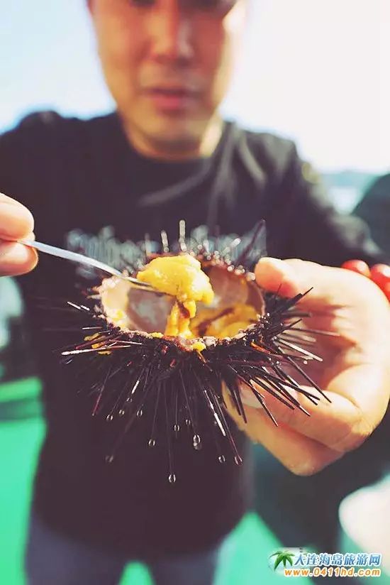 国庆大连去哪个海岛,国庆八天假去哪玩江西