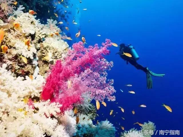 广西最值得去的5大景点,广西20元景点