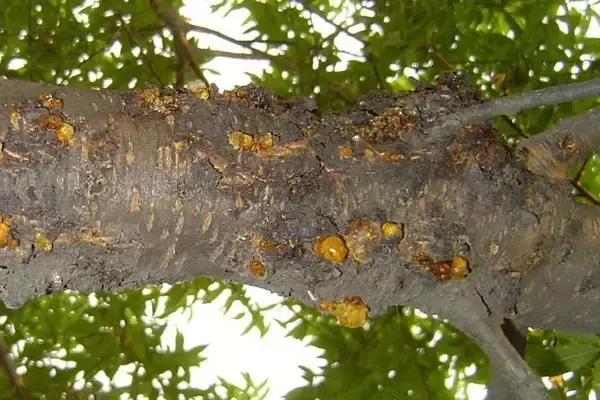 真的要“谈铜色变”？其实，慎重使用就行