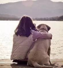 新澳洲梦｜此心安处是吾乡