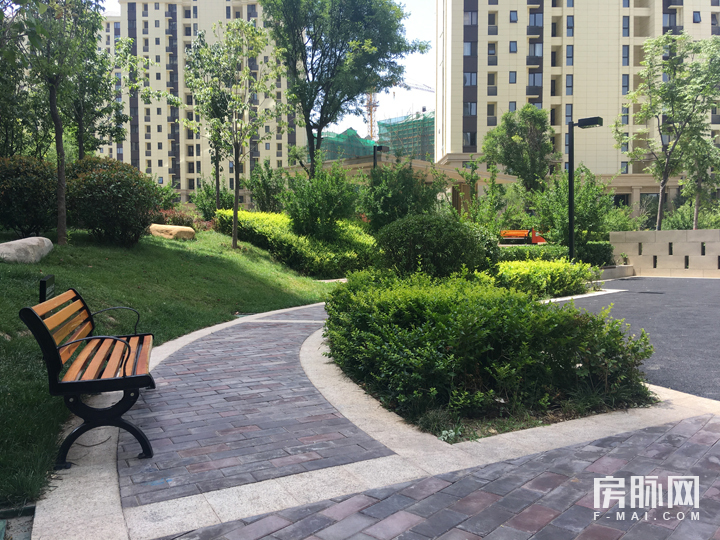 百亩绿化三亩湖五重景观成一家-富力白鹭湾园林实景