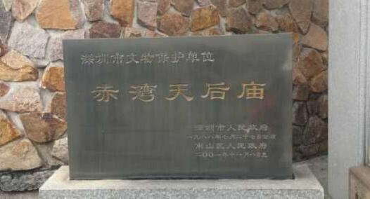 深圳历史上真实的遗迹,一起来挖恐龙化石