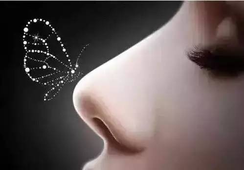 颜值的上限取决于鼻子的高度吗,眼睛鼻子哪个决定颜值
