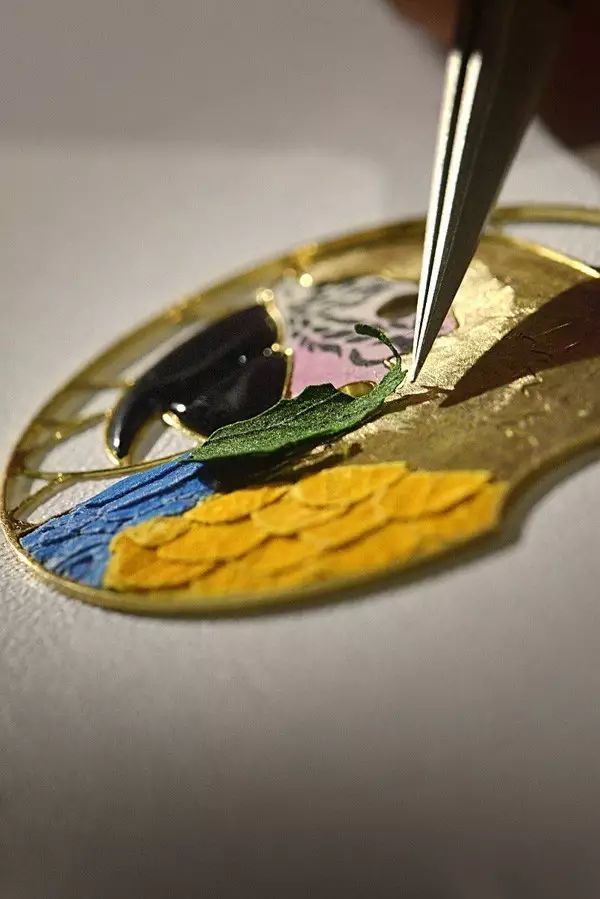 腕上鸟类图鉴｜谁是颜值之巅？