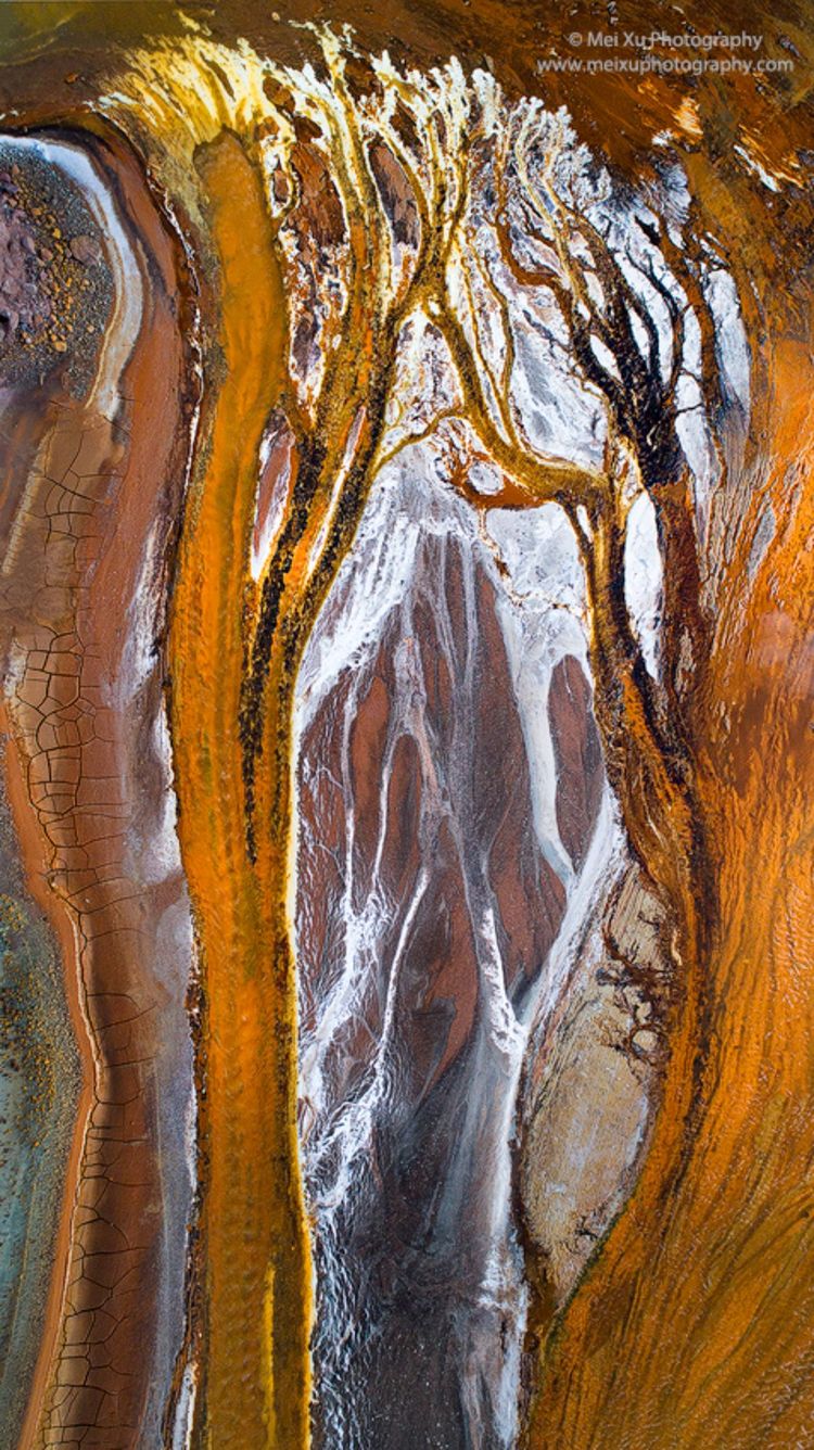 就让我随你去,去俯瞰多姿多彩的大千世界