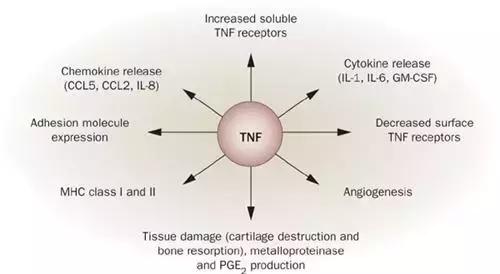 生物制剂治疗类风湿——效果真的那么好吗?!