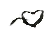 为什么要去奥兰多旅游,奥兰多旅游需要住哪里