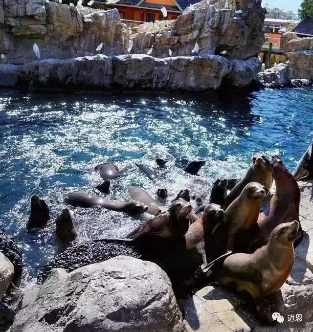 为什么要去奥兰多旅游,奥兰多旅游需要住哪里