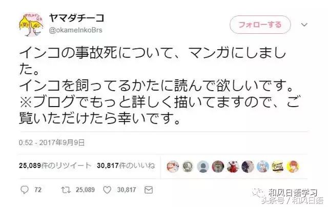 不小心踩死自己的宠物痛哭流涕,不小心把宠物压死了