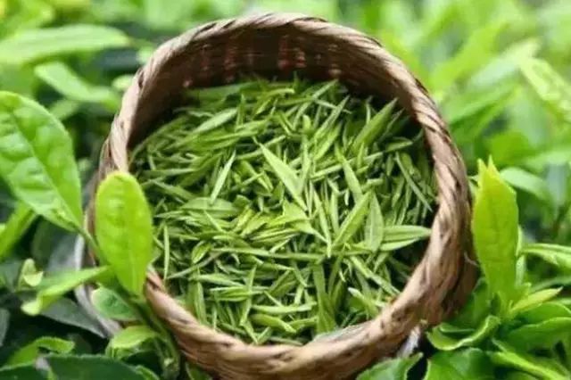 细说茶叶的六大种类有哪些,绝对干货茶叶知识科普集锦