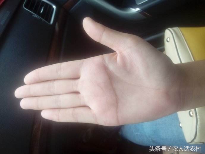 手相揭露什么人将来能统领大局,坎坷命运的手相