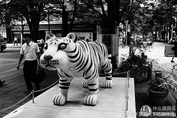 夫妻逛街买买买,夫妻日常买买买