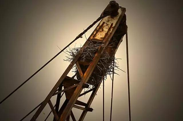 天拖板块的前世今生,天拖铁牛与迪尔有区别吗