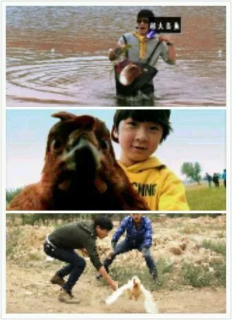 爸爸去哪儿你不知道的事,爸爸去哪儿真心话问答