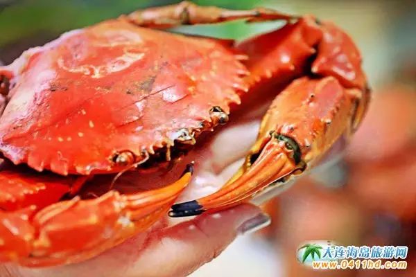 国庆大连去哪个海岛,国庆八天假去哪玩江西