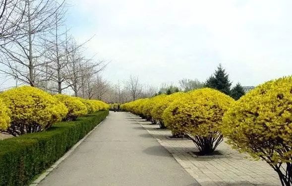汕头国庆一日游最佳景点,国庆不花钱旅游