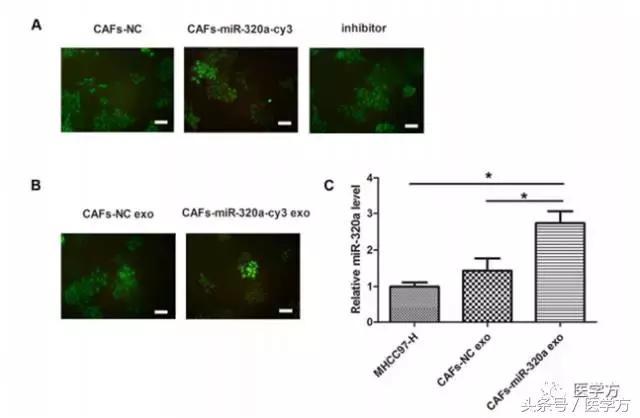 国自然标书参考文献格式,国自然标书引用参考文献的格式