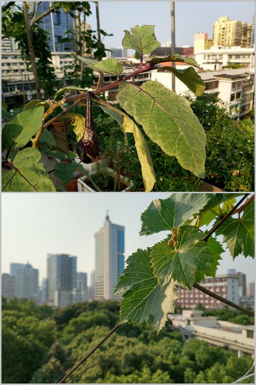 小米mix2还值得入手吗,小米mix2现在值得入手吗