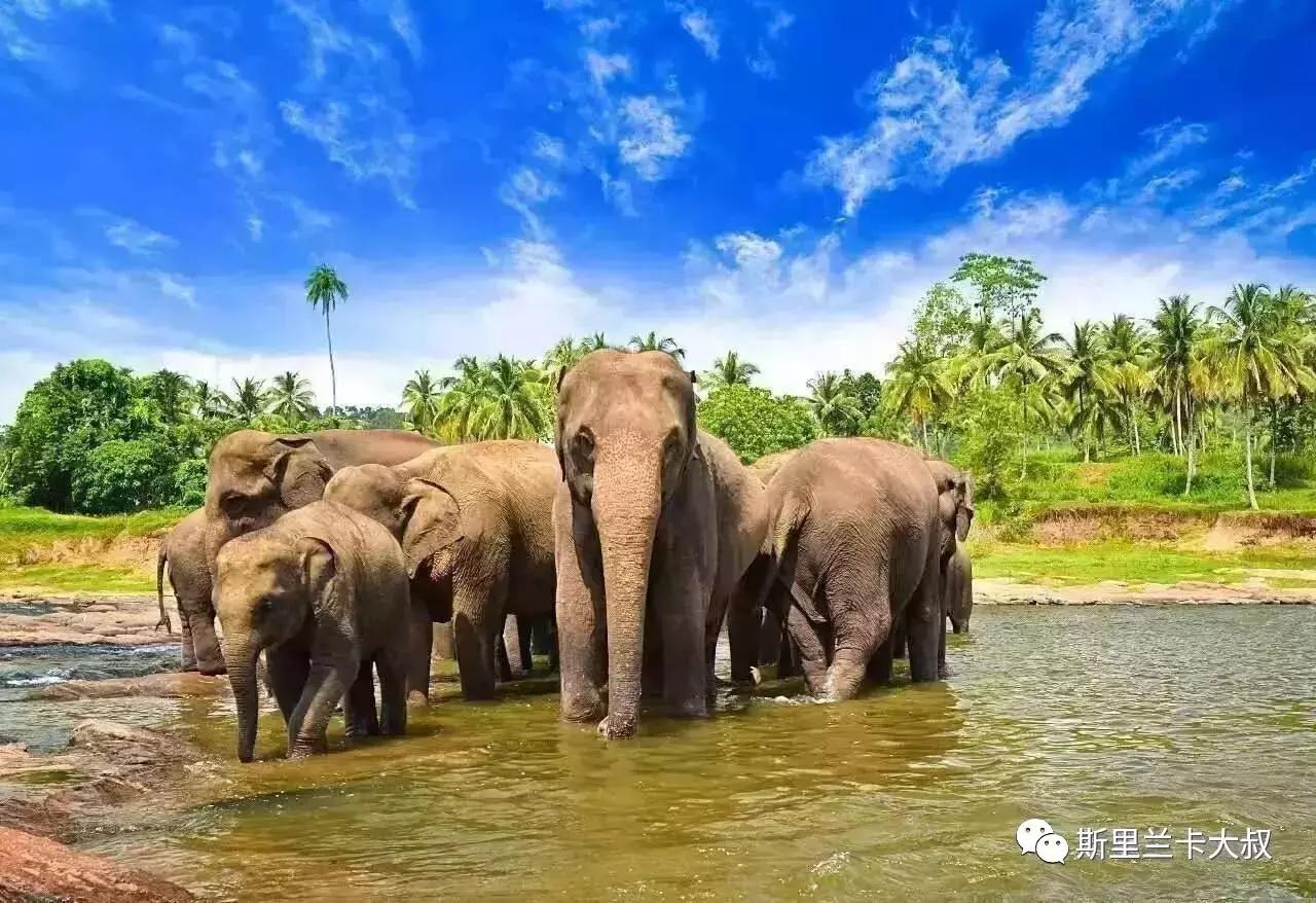 搴锋彁鏂噷鍏板崱浣涘浗鍦ｅ煄,搴锋彁鏂噷鍏板崱鍦ｅ煄