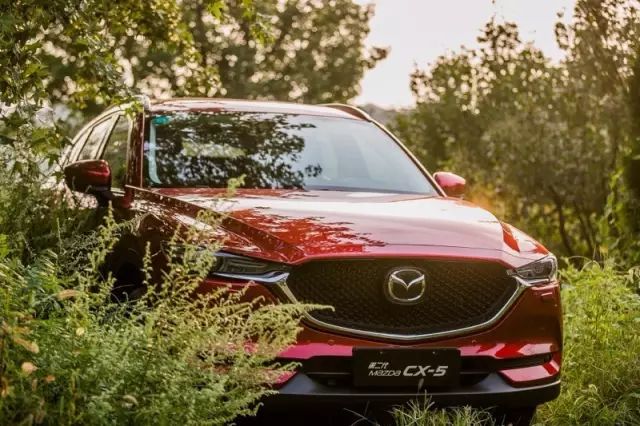 现在买什么颜色的车比较好看,中国人买车首选国产