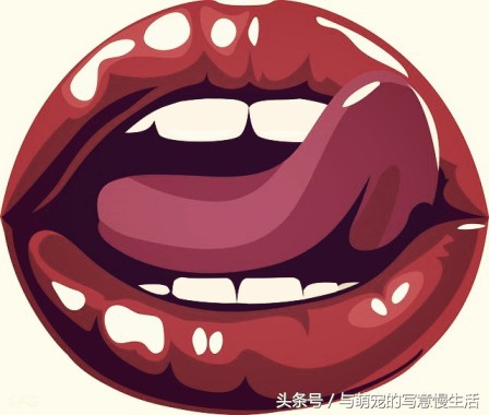 “舔式疗法”能为我们疗伤治病，可惜很多人不知