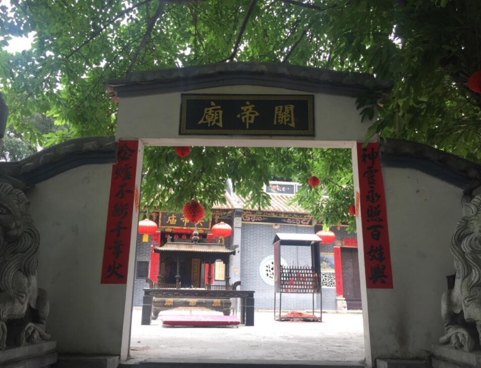 深圳历史上真实的遗迹,一起来挖恐龙化石