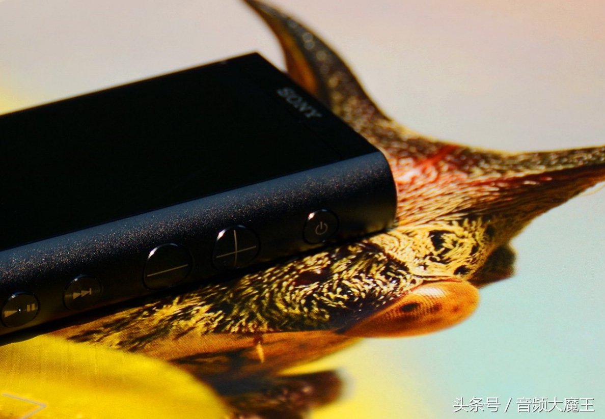 索尼zx300a评测,索尼nw-zx300a评测