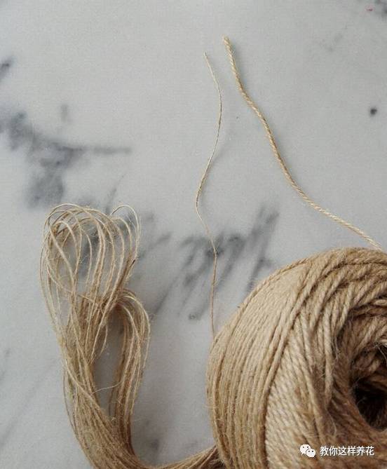 自制绿萝棕柱视频,自制绿萝柱子