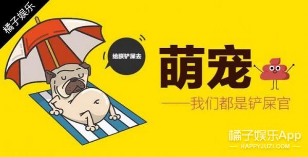 猫头鹰涂涂说自己是会飞的猫,宠物猫头鹰可以养吗犯法吗